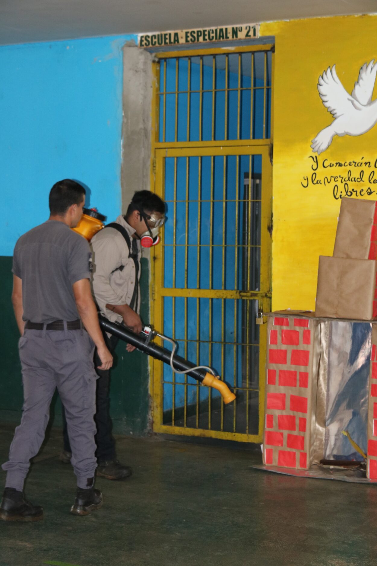 Operativos de descacharrización, desmalezamiento y fumigación en las Unidades Penales de Misiones imagen-14
