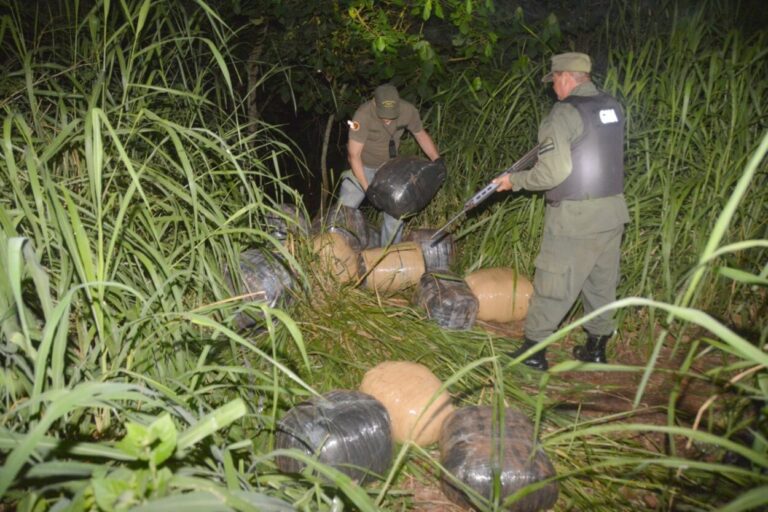 Descubren más de 300 kilos de marihuana escondidos entre la maleza imagen-49