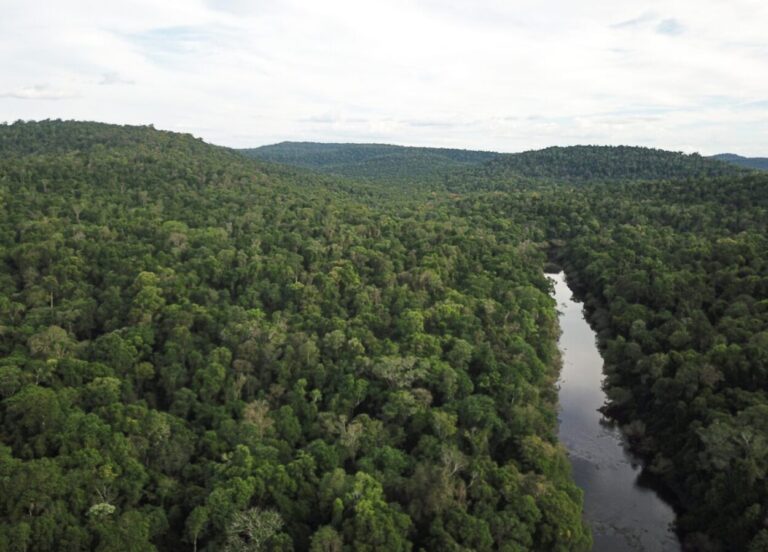 Ley Ómnibus: Ambiente en peligro imagen-15