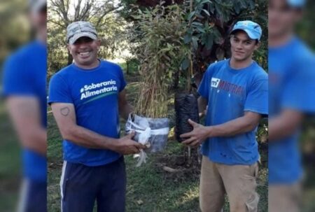 Productores misioneros apuestan por la plantación de eucaliptos para diversificar sus chacras imagen-10