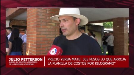 La grilla de costos de la yerba mate aumentó y llegó a los 505 pesos, "por menos el productor no puede trabajar, porque se va a fundir” señalan imagen-1