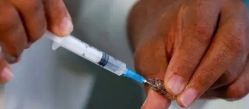 La Semana Periodística: Misiones enfrenta el dengue con vacunación y sostenidas campañas imagen-2