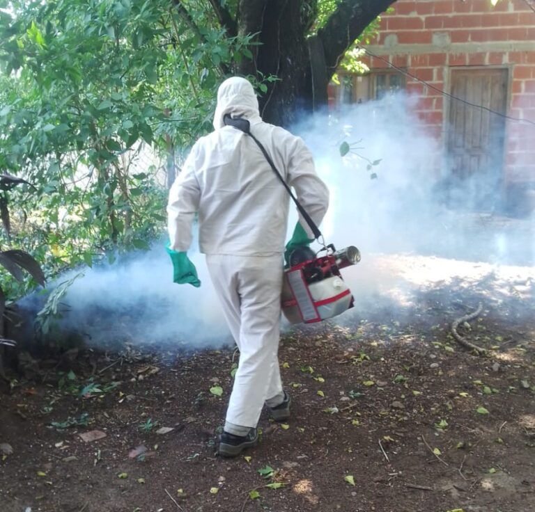 Operativos contra el Dengue continúan realizándose en barrios posadeños imagen-47