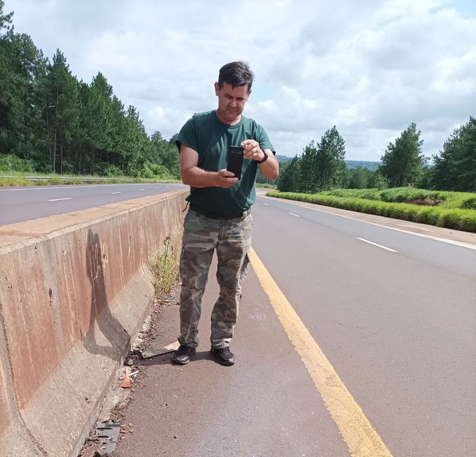 Campo San Juan: para medir el impacto y buscar respuestas adecuadas, monitorean la fauna atropellada sobre la ruta 12 imagen-4