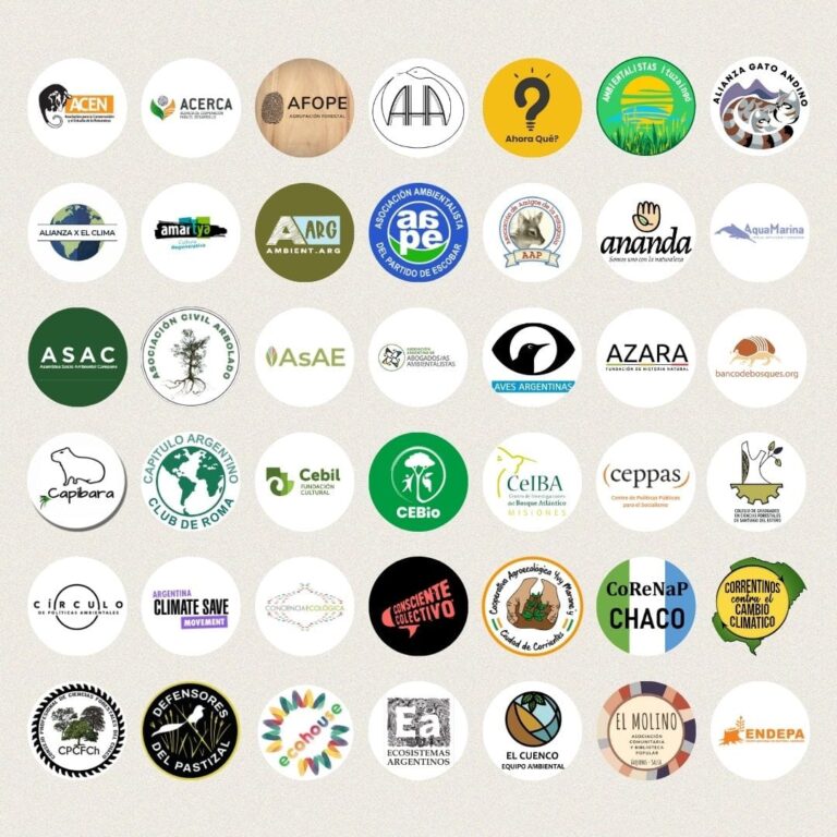 Más de 100 organizaciones civiles se expresaron en contra del Proyecto de Ley Ómnibus  imagen-18