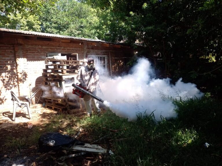 Contra el Dengue: refuerzan operativos contra la proliferación del Aedes aegypti imagen-35