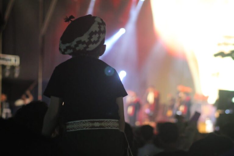 Decenas de familias disfrutaron de la primera edición "Festival de Verano" en La Cascada de Posadas imagen-44