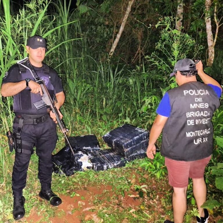 Agentes policiales detectaron un punto de intercambio de drogas y secuestraron más de 100 kilos de marihuana imagen-39