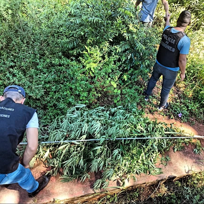 Agentes policiales detectaron un punto de intercambio de drogas y secuestraron más de 100 kilos de marihuana imagen-4