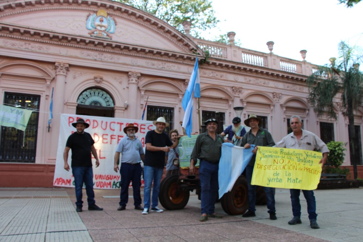 Con un tractor "testimonial", volvió la protesta yerbatera a la Plaza 9 de Julio en rechazo al DNU de Milei que licúa funciones del Inym imagen-10