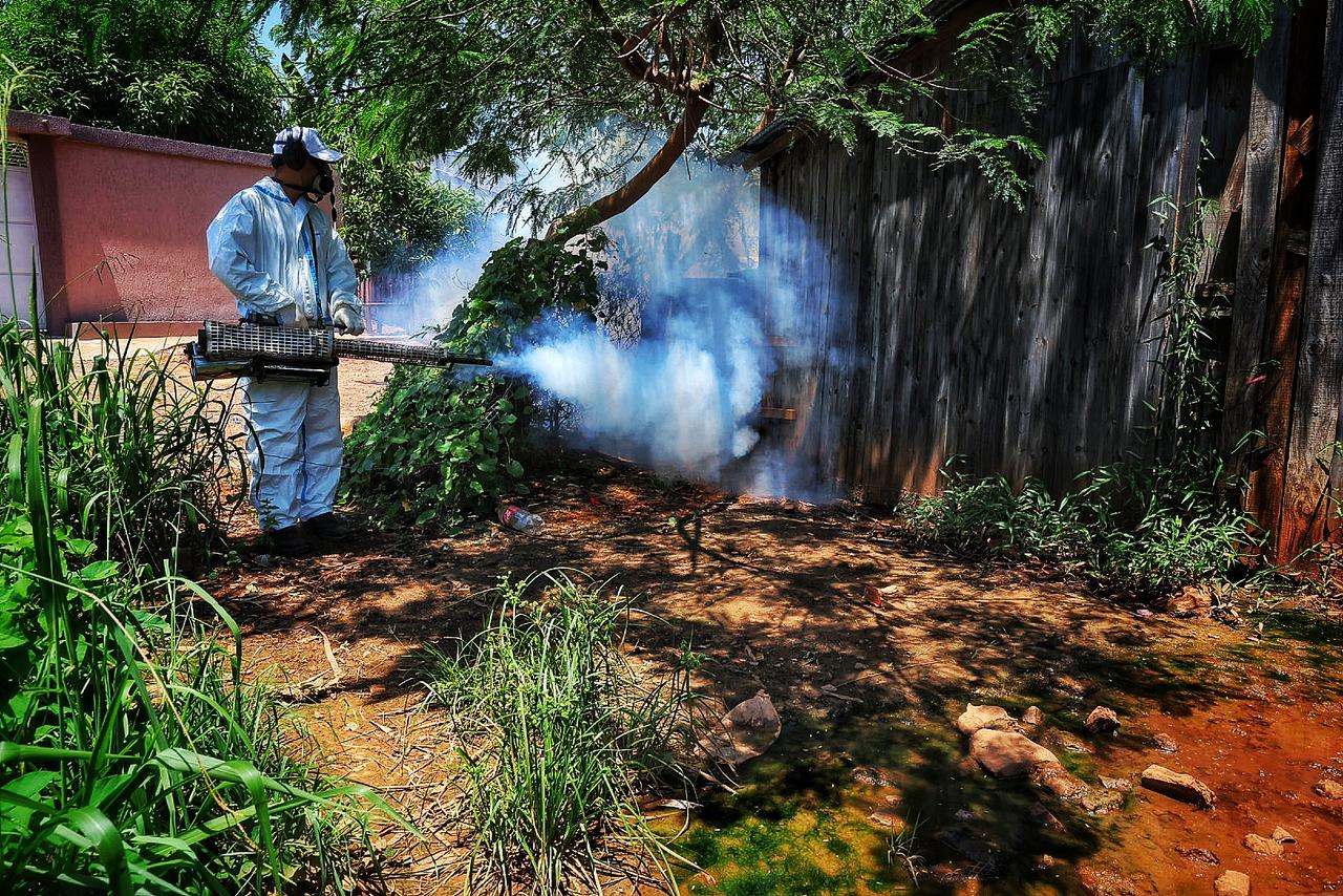 Lucha contra el Dengue: "Sin el compromiso social del millón y medio de misioneros, esto va a ser una tarea imposible", dijo Passalacqua en Puerto Iguazú imagen-24