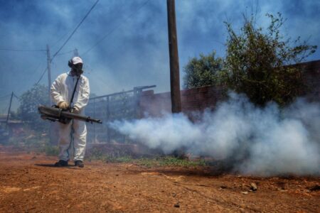 Lucha contra el Dengue: "Sin el compromiso social del millón y medio de misioneros, esto va a ser una tarea imposible", dijo Passalacqua en Puerto Iguazú imagen-5