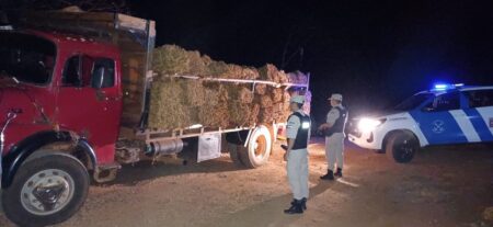 Prefectura secuestró más de cinco toneladas de tabaco en Misiones imagen-10