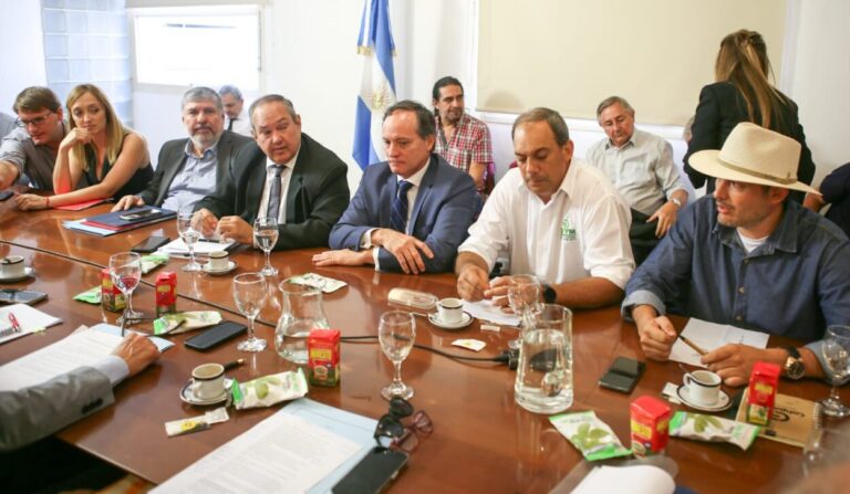 Productores y representantes de la yerba mate expusieron en el Senado en defensa del Inym imagen-45