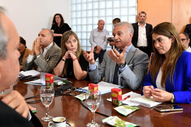 Senadores Arce y Rojas Decut defendieron el rol del Inym en encuentro con legisladores y referentes yerbateros imagen-35