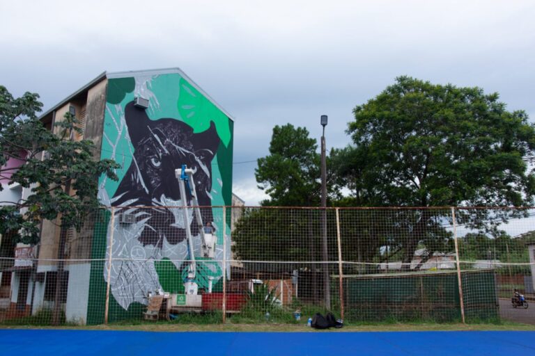 Posadas embellece su paisaje con un nuevo mural de 100 metros cuadrados imagen-7