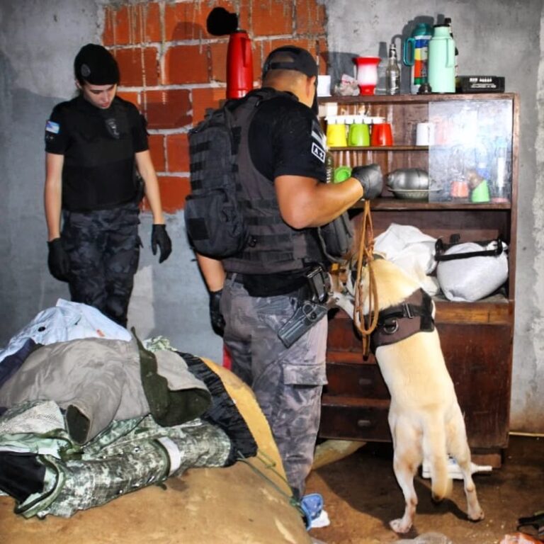 Can de la Policía detectó una plantación de marihuana en un predio privado de San Pedro Can de la Policía detectó una plantación de marihuana en un predio privado de San Pedro imagen-11