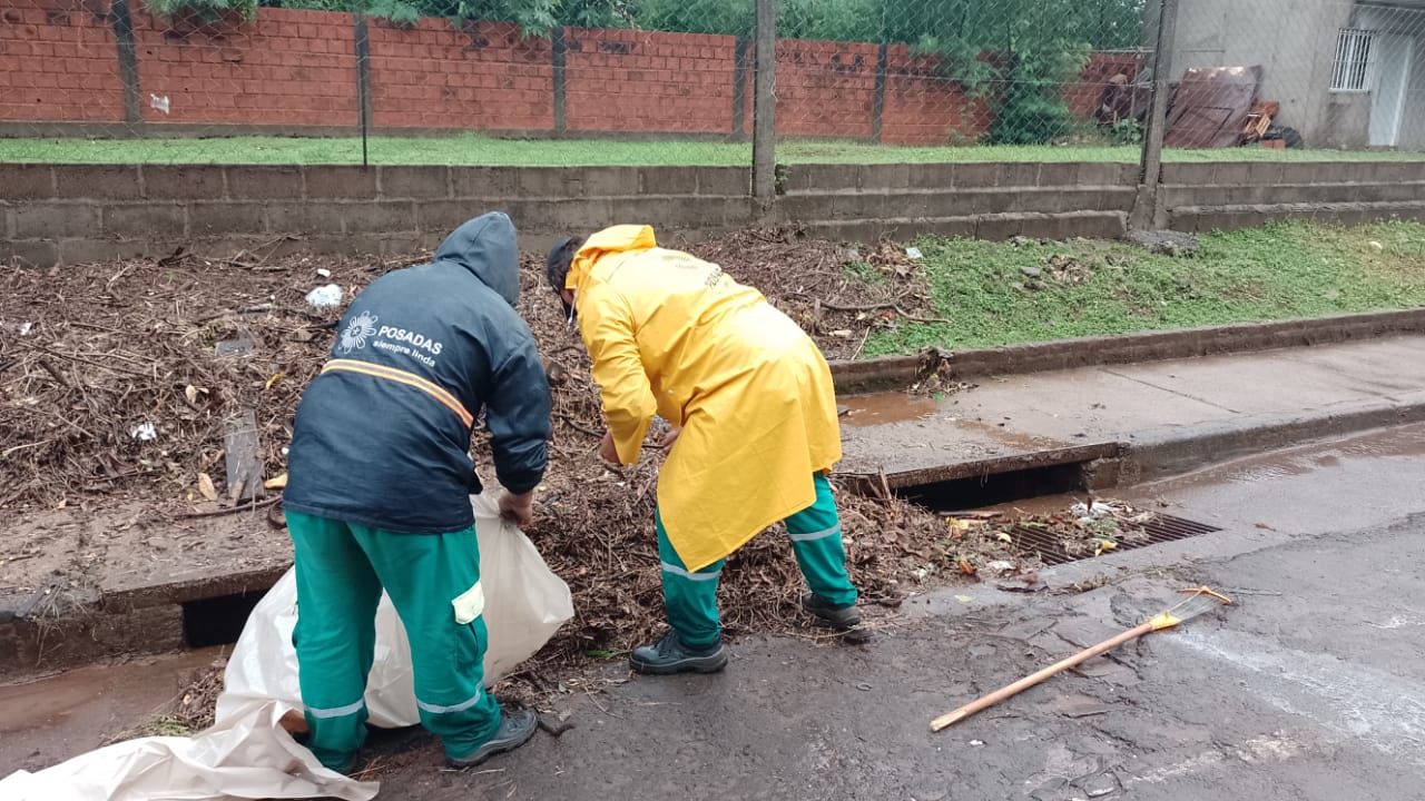 Tormenta: despliegan trabajos de remoción de ramas y otras tareas en Posadas imagen-2