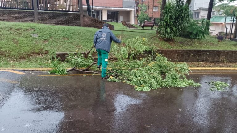 Tormenta: despliegan trabajos de remoción de ramas y otras tareas en Posadas imagen-11