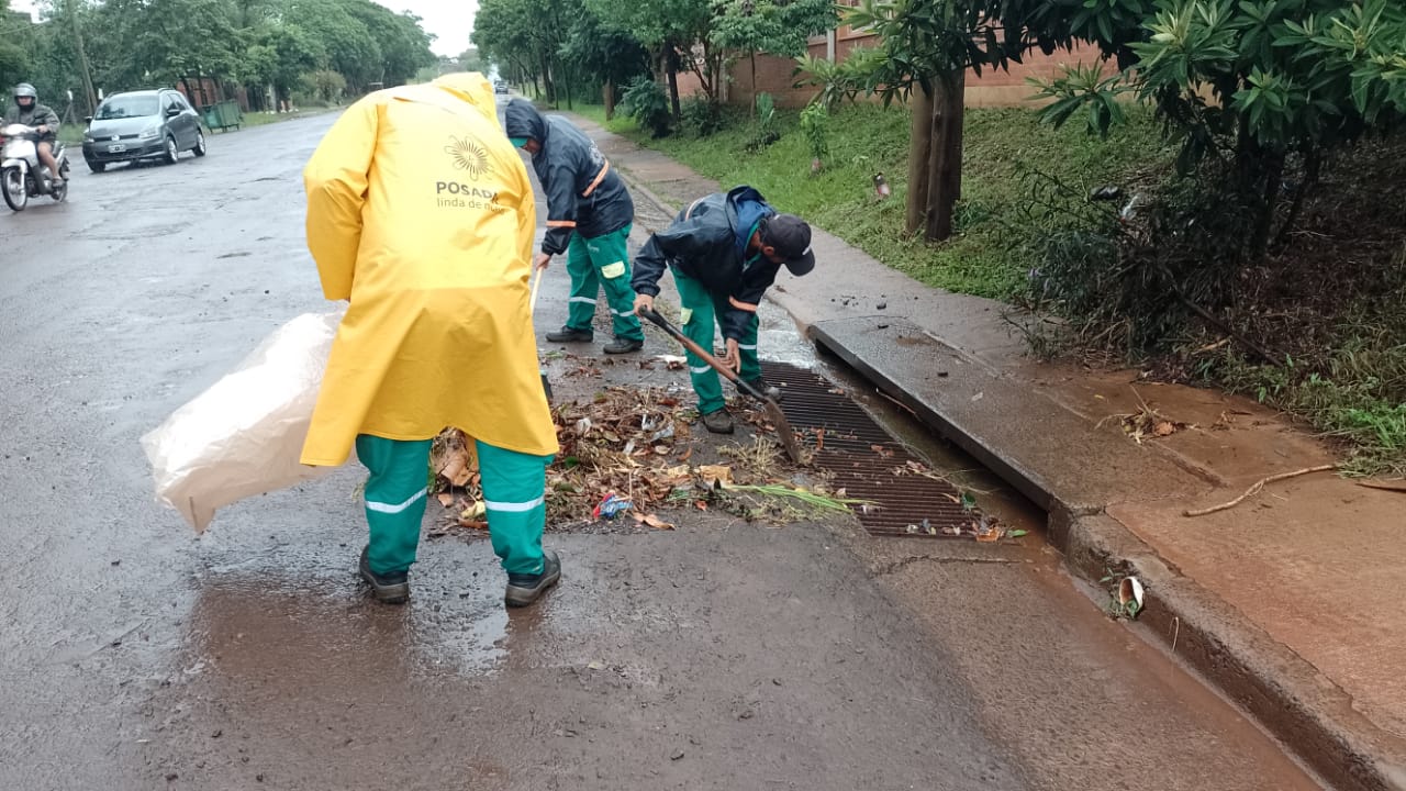 Tormenta: despliegan trabajos de remoción de ramas y otras tareas en Posadas imagen-6