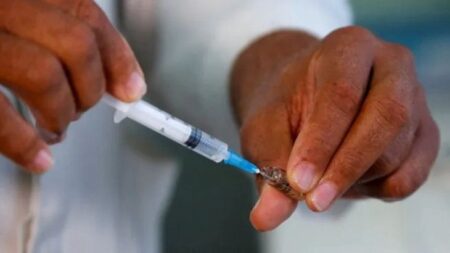 Misiones es la primera provincia del NEA en aplicar la vacunación gratuita contra el Dengue imagen-3