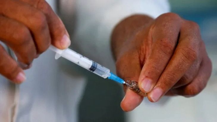 Misiones es la primera provincia del NEA en aplicar la vacunación gratuita contra el Dengue imagen-1
