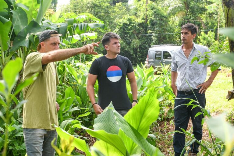 Agroecología en El Soberbio: regenerar el suelo es fortalecer la economía imagen-39