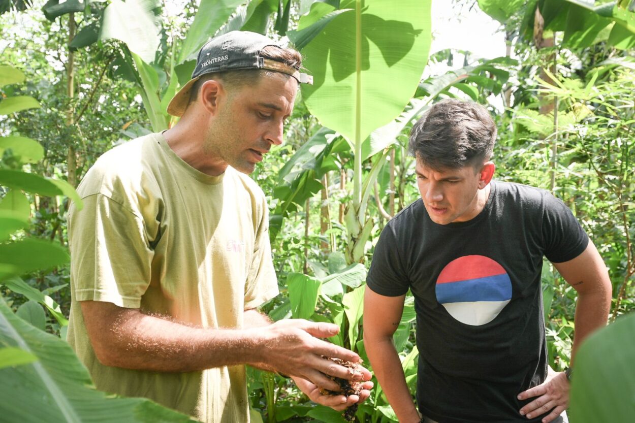 Agroecología en El Soberbio: regenerar el suelo es fortalecer la economía imagen-4