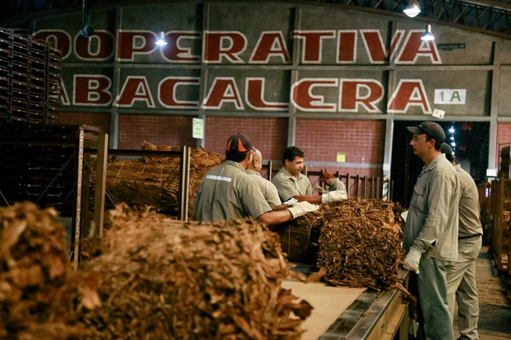 En el primer día de acopio de tabaco, Passalacqua visitó la Cooperativa Tabacalera de Misiones tras el acuerdo histórico con el sector imagen-10