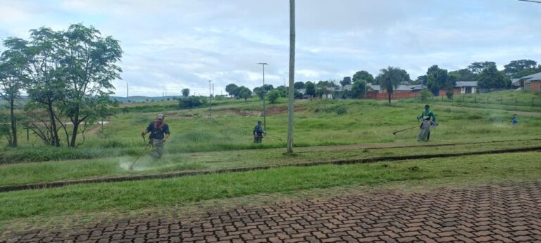 Recuerdan que, por ordenanza, se deben mantener limpios los terrenos baldíos imagen-25