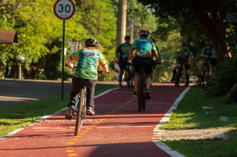 Ciclismo seguro: recuerdan normativas vigentes que regulan su circulación imagen-10