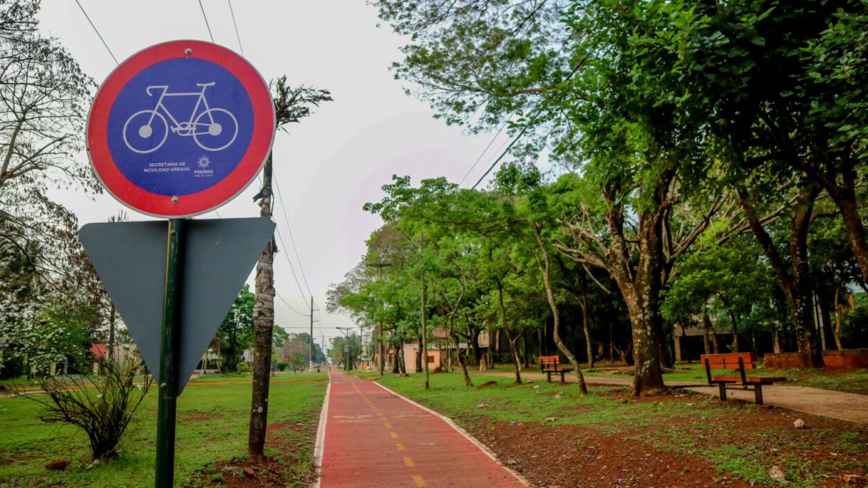 Ciclismo seguro: recuerdan normativas vigentes que regulan su circulación imagen-4