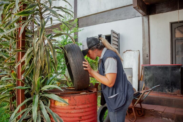 Posadas: Continúan los operativos de prevención del Dengue en los barrios imagen-19