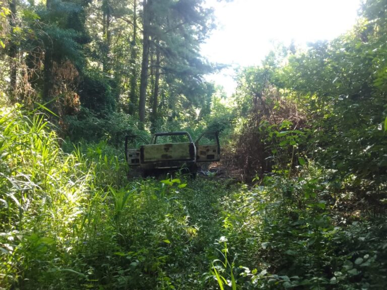 Hallaron restos óseos junto a una camioneta totalmente calcinada imagen-1