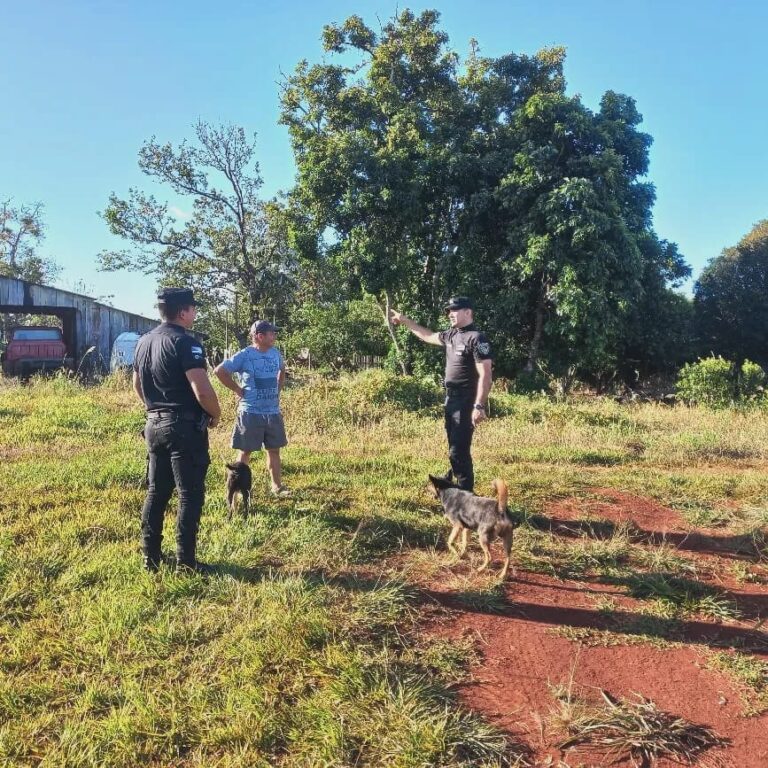 Con mayor presencia policial en las calles, los delitos en la Provincia se redujeron en un 52% imagen-42