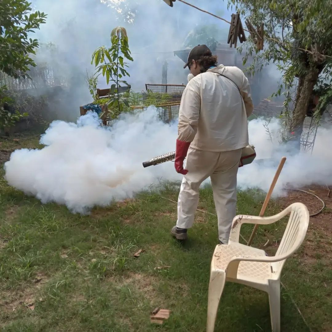 El municipio intensifica medidas para combatir el dengue imagen-2