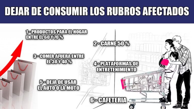 Era Milei: todos los niveles socioeconómicos han restringido ingresos y bajado el consumo imagen-28