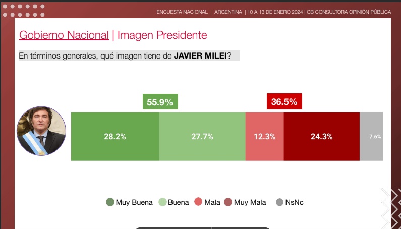 Según Encuesta, la imagen del presidente Milei se mantuvo estable en este primer mes de gobierno imagen-1