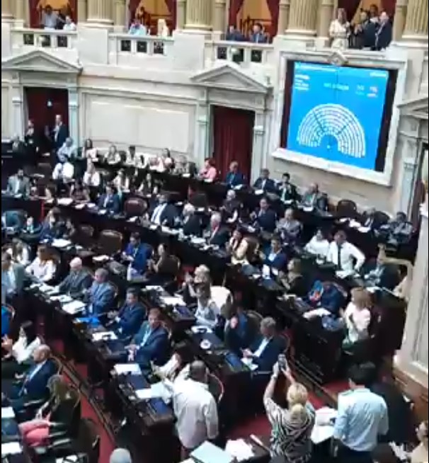 En una sesión maratónica, la Cámara de Diputados debate el proyecto de ley Ómnibus imagen-39