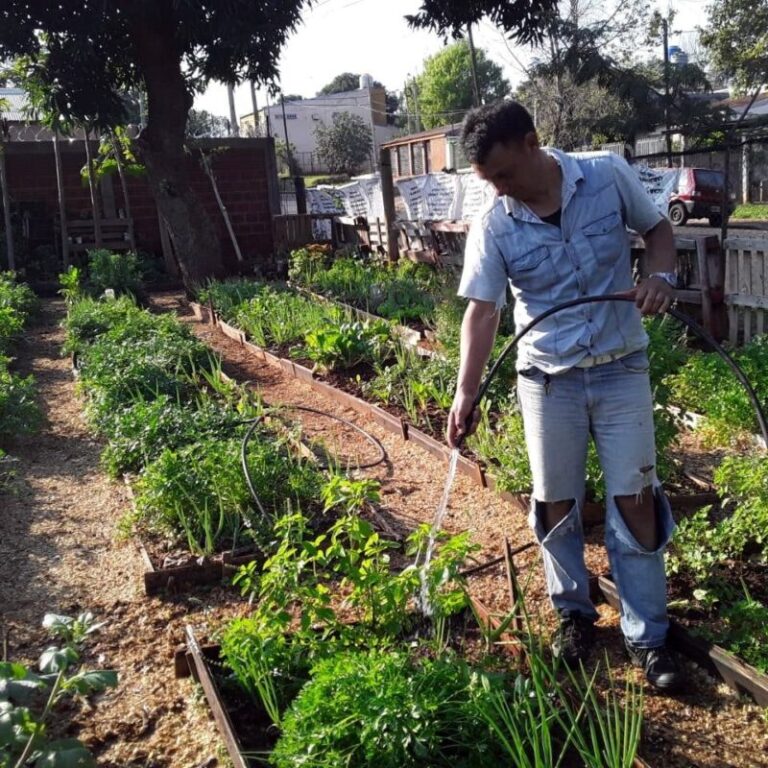 Agricultura Familiar brinda consejos para cuidar la huerta en verano imagen-45