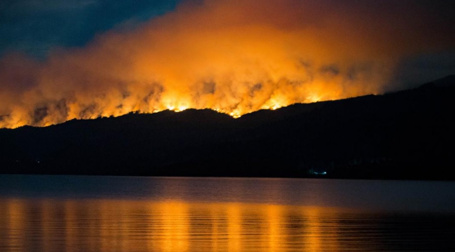 Más de 1.000 hectáreas destruidas por el fuego en el Parque Nacional Los Alerces imagen-1