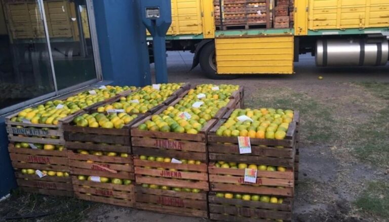 El consumidor pagó en diciembre 3,5 veces más de lo que cobró el productor El consumidor pagó en diciembre 3,5 veces más de lo que cobró el productor imagen-18