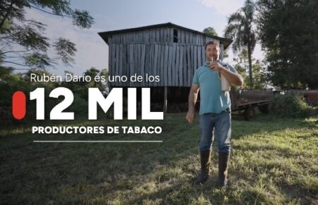 Tabaco: con un aumento histórico del 300% para la materia prima imagen-6
