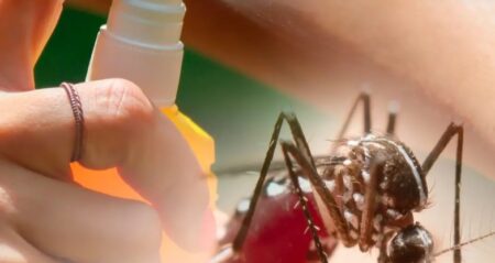 Especialistas del Conicet brindan recomendaciones sobre el uso de repelentes imagen-6