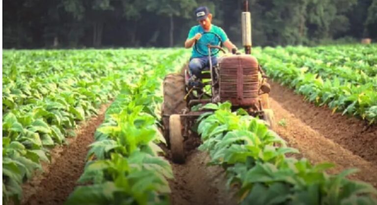 Innovación Federal insiste en las negociaciones para excluir también al tabaco de las retenciones imagen-43