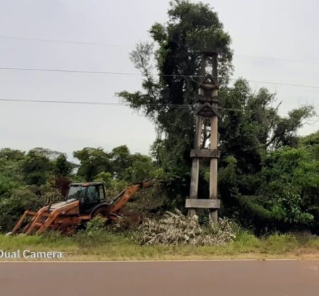 Activan operativos de limpieza en Comandante Andresito para optimizar el servicio energético Activan operativos de limpieza en Comandante Andresito para optimizar el servicio energético imagen-7