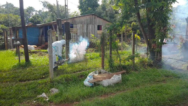 Contra el Dengue: en Oberá intensifican operativos para eliminar criaderos de mosquitos imagen-40