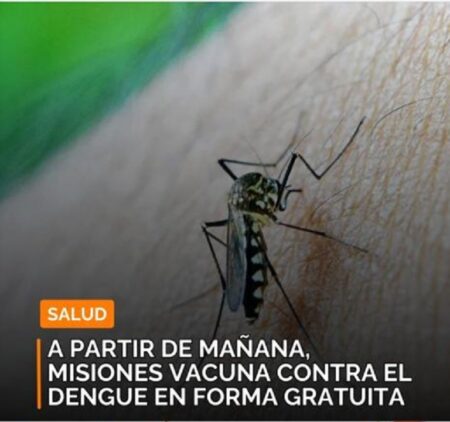 Dengue: Misiones vacuna en forma gratuita desde este miércoles imagen-5