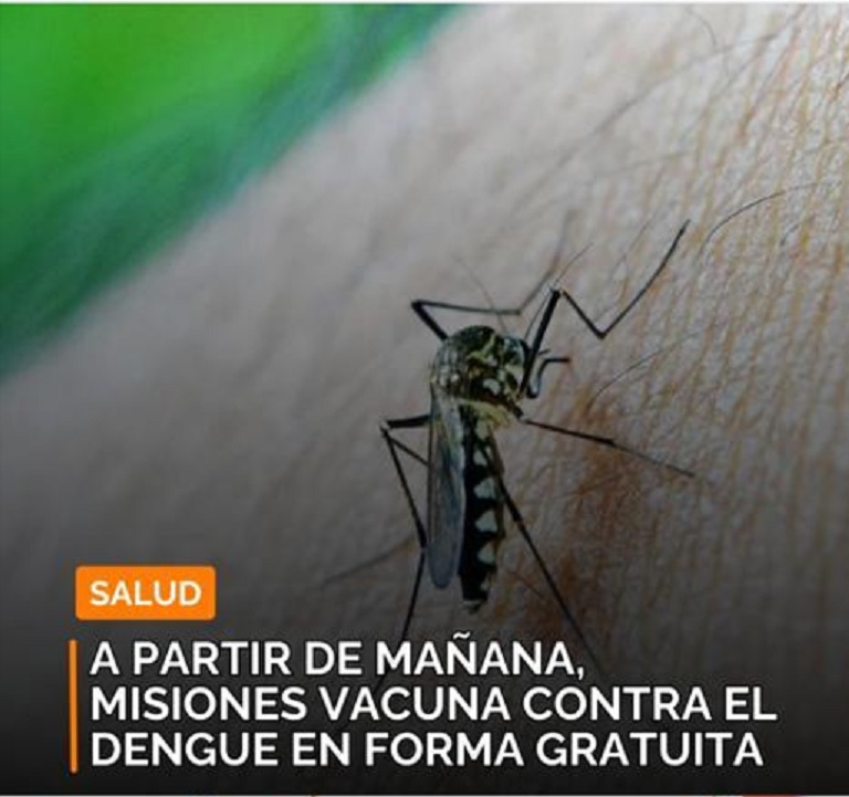 Dengue: Misiones vacuna en forma gratuita desde este miércoles imagen-1