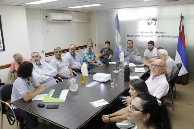 Identifican el agente causal de agallas en yerba mate y definen medidas de prevención imagen-42